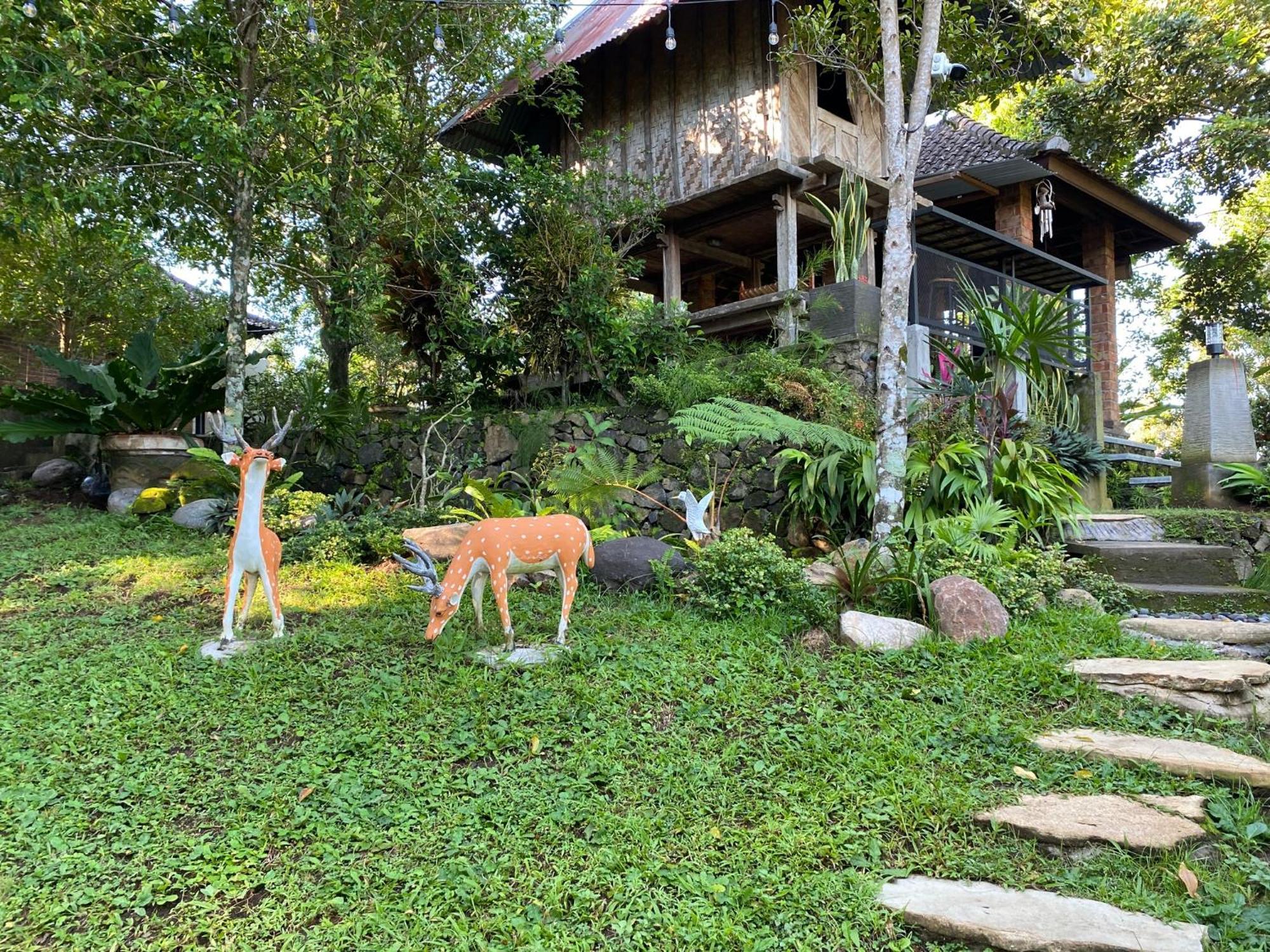Mayong Bali Villa And Hostel Munduk Екстериор снимка